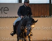 CAletto della Verdina TosTour2013- S5 3154 : Arezzo, Arezzo Equestrian Centre, Caletto della Verdina, Cavalli d'Italia, Toscana Tour 2013, foto di Stefano Secchi ©
